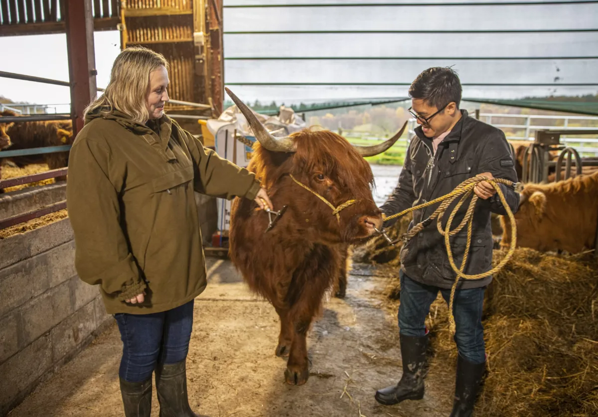 Jeremy Pang as pictured with a Farmer and a cow, photographed by James Bailey