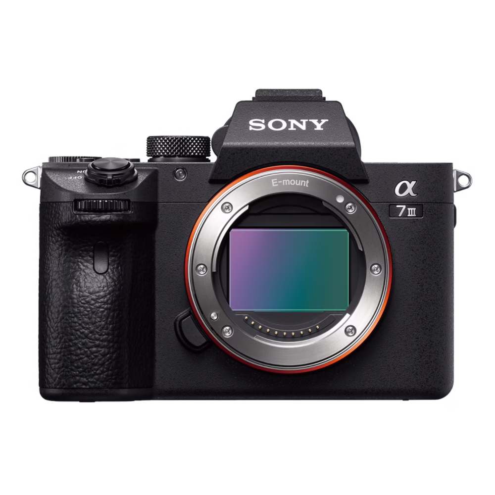 Sony Alpha a 7 3